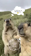 HOcgjc5bAAA3rM1.jpeg