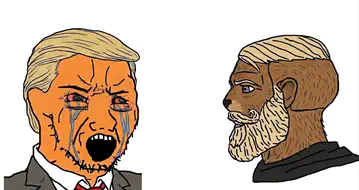 HOl2lS7XoAAwTYZ.jpeg