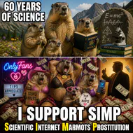 magnific_splitpanel-meme-top-panel_J9Jgnt3Oq4.jpg